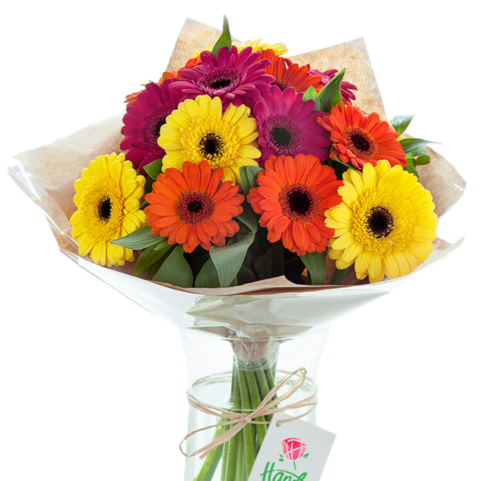 In this image, a joyful symphony of fresh Gerbera daisies is thoughtfully assembled in a classic glass vase, offering a vibrant homage to the heartfelt celebrations of Woodside Park. The arrangement's centre is built of generous, sun-kissed yellow, lively orange, and sultry magenta Gerberas, each one arrayed in soft, sweeping petals that radiate from a shadowed centre-an exquisite contrast that brings the flowers' colours to life. Between these bold blooms, dark green leaves provide additional texture, reminiscent of the lush foliage found along Woodside Park's walking trails. The entire bouquet is tenderly gathered and swaddled in a sheet of rustic kraft paper, its subtle texture recalling artisan crafts of the neighbourhood. A protective clear cellophane wrap forms a glossy cone around the blossoms, ensuring both structure and shine. Through the glass vase, the stems are visible, steeped in pure water for lasting freshness. Encircling the stems, a length of natural twine is neatly knotted, holding a crisp white gift tag, styled with a delicate rose illustration and softly faded script-signals of thoughtful, local design. This arrangement, with its interplay of vivid hues and honest textures, exudes warmth and delight, offering a wonderful statement for significant events, get-well wishes, or moments when a joyful gesture is needed most in Woodside Park.